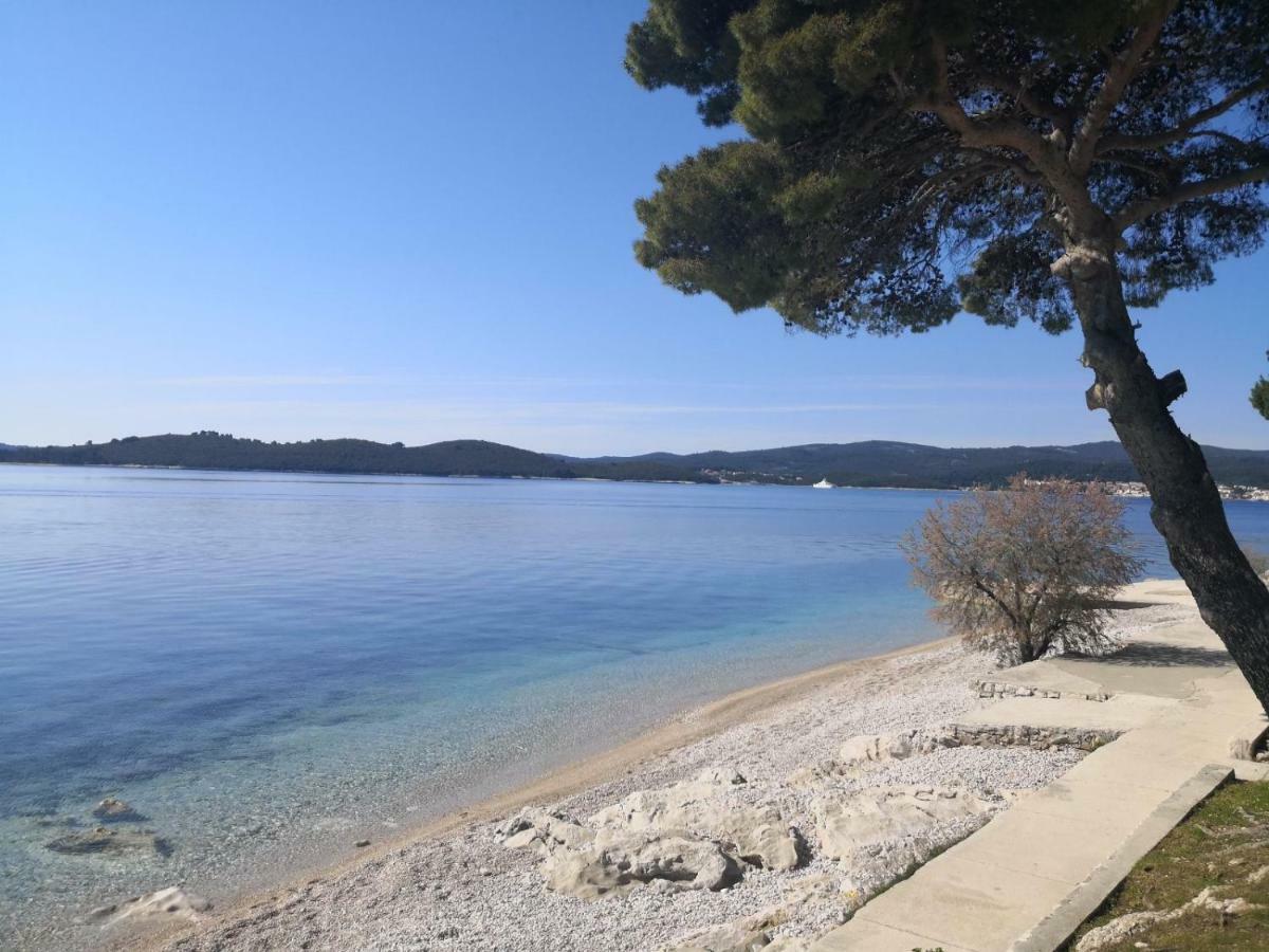 Sea And Pine Paradise Orebic Exterior photo